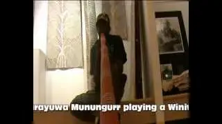 Winiwini Gurruwiwi E/ E Yidaki