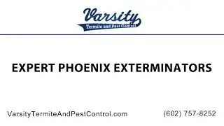 Expert Phoenix Exterminators by The Varsity Team