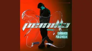 Caminando por la noche (feat. Cheliselekta)
