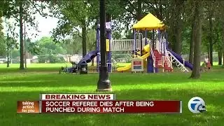 Soccer referee dies after being punched