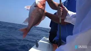 Fishing for Red Snapper/Miss Mona Charters/South Padre Island Texas