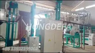 Revolutionary Maize Milling Technology: See the Future of Flour Production in Action!