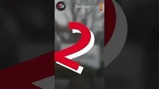 SmartView 4K G3 &mdash; незаменимый монитор для прямых трансляций
