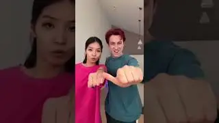 Craze Finger Magic 😱 Zootopia 2 zoo music video 🥰#trending #shortsvideo #zootopia2 #music