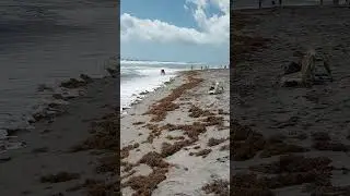 Beach at the Juno Beach