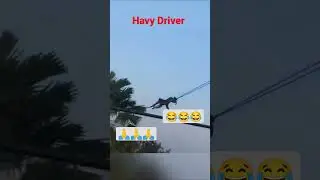 bandar hevi daevar comedy video 😂😂
