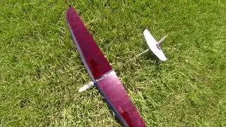 elf- DLG- 08 08 2020