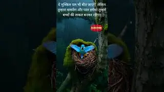 Struggling Kingfisher Mother Protects Her Chicks from Rain 🌧️❤️ | Nature's Love