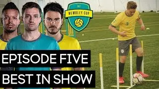BEST IN SHOW! - WEMBLEY CUP 2017 #5