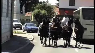Quadriga 2011 - kurz.wmv