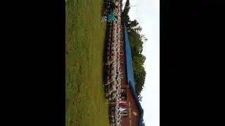 2013 camp johnson FMTB GRADUATION