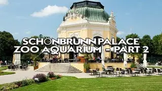 Sch&ouml;nbrunn Palace Zoo & Aquarium: Discover Vienna&rsquo;s Wildlife Wonders - Part 2