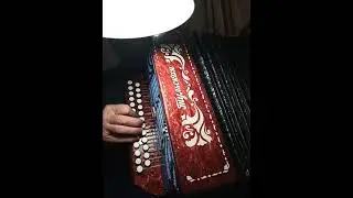 БЕЛЫМ СНЕГОМ на гармони 27