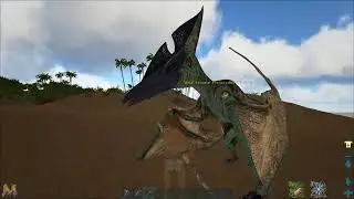 ARK GAME PLAY FRESH WIPE MESA ARK SERVER