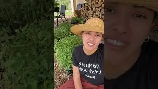 Welcome to Seeding Sovereignty&rsquo;s Community Care Mutual Aid Farm!