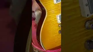 Case Candy For $50K Gibson GREENY