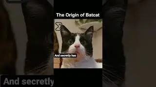 The Origin of BatCat! | Disjointed Thumbs staying on topic during Star Wars as usual #shorts #cat