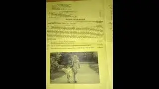 English Paper of RIMC 2021