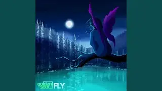 Fly