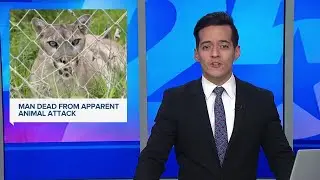 Texas man found dead in wooded area after possible mountain lion attack
