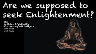 Are we supposed to seek Enlightenment?