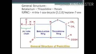 SAR OF BETALACTUM ANTIBIOTIC