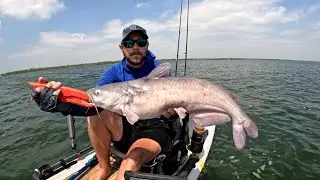 Kayak Downrigging for Catfish