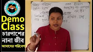 primary interview demo class #চারপাশেরনানাজীব #evsdemoteachingamadarparibesh #tetinterview