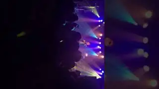tloth ドウデモイイ ライブ映像