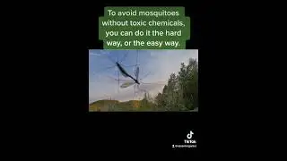 To avoid mosquitoes without using toxic chemicals, you can do it the hard way or the easy way.