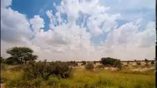 Khutse Molose View - Timelapse
