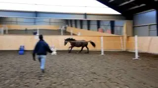 DSC 0175