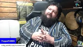 LiveTUBBSgamin: the Sims