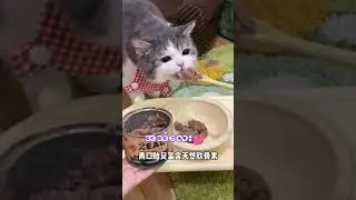 #cuteanimalsvideo 😘