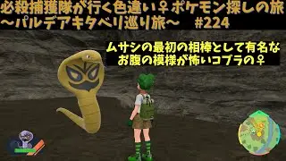 【アーボ】 必殺捕獲隊が行く！ぶらり色違い♀ポケモン探しの旅～パルデアキタベリ巡り旅～　#224【ポケモンsv】
