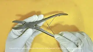 FusionKraft Liston Bone Cutting Forceps, Curved Jaw, Single Action, 7