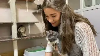 Визитная карточка Мария Анисимовой, финалистки Международного конкурса красоты &laquo;Мисс СНГ 2022&raquo;