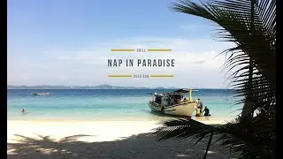 Alex Dav  - Nap in Paradise