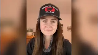 Fat Cattle Hit $140 &mdash; Cattle Market News Update 11/29/2021