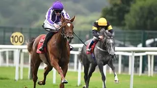 PRECISE impresses for Ballydoyle
