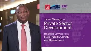 James Mwangi: Challenges for private sector in fragile states