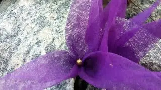 easy Organdy cloth flower making |jimikki kammal|