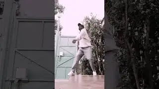 AMAPIANO 22SEC OF FAME DANCE