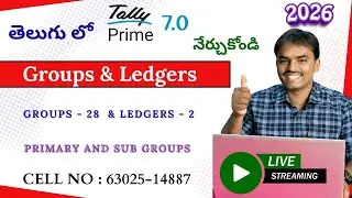 Creation and Management of Groups & Ledgers in Tally Prime 7.0
