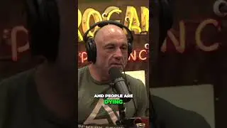Cartels Shocking Move Deadly Selling Tactics Revealed on JRE