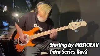 【Ikebe B-Sound Check】Sterling by MUSICMAN Intro Series Ray2【試奏動画】