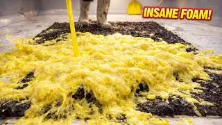 This Purple Shag Rug Was Drowned in Mud&hellip; INSANE Foam Wash ASMR 😱 (Unbelievable Transformation)