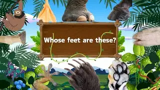 Whose Feet Are These? |30 Animal Feet Matching | Animal Quiz | Children's Observation Quiz