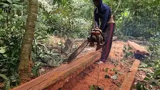 SATISFYING WOODWORK: COCONUT WOOD SPLIT INTO BLOCKS WITH MODERN SAWS!-agriculture farming