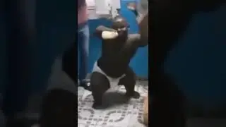 #рекомендации #прикол #юмор #мем #memes #terania #жиза #tttips #funny #дуэт